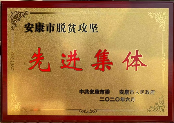 yd2333云顶电子游戏(中国)有限公司